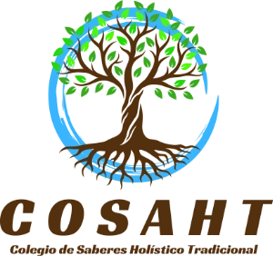 cosaht-logo